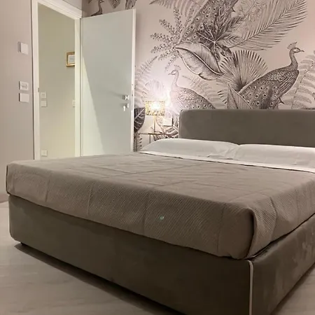 Casa Baru Шикли